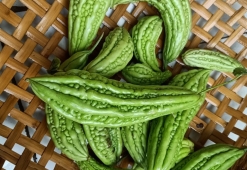 Tại sao ăn rau lại quan trọng?