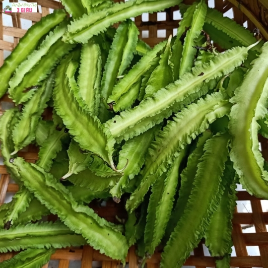 RAU ĐỒNG 3