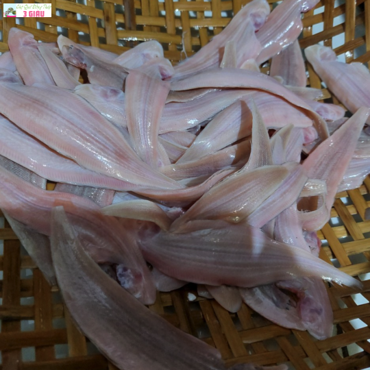 CÁ LƯỠI TRÂU /500GR