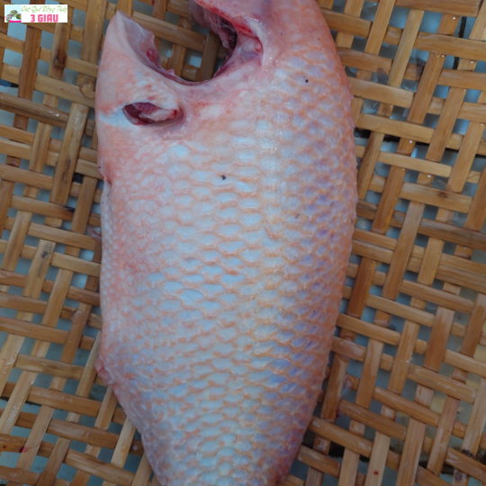 CÁ DIÊU HỒNG BÈ /KG