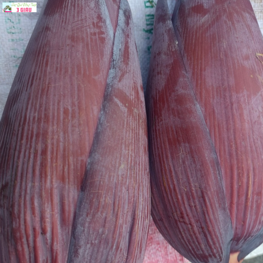 BẮP CHUỐI /KG