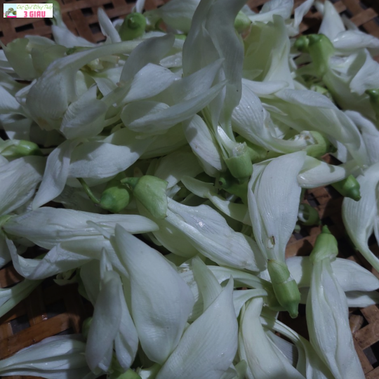 BÔNG SO ĐŨA /KG