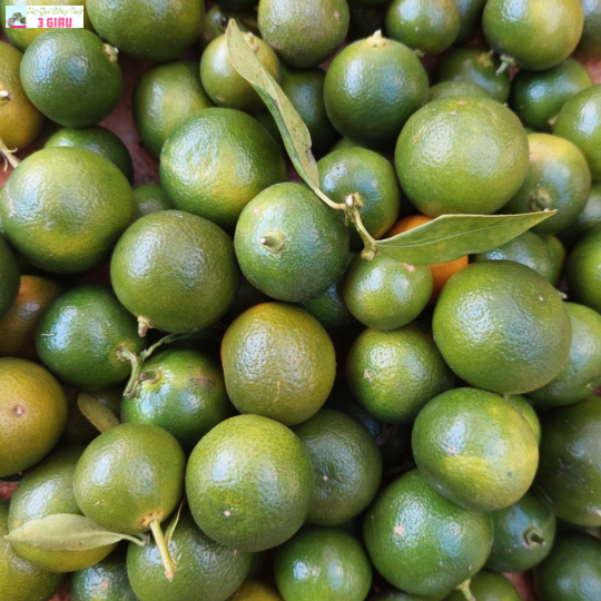 TRÁI TẮC /KG
