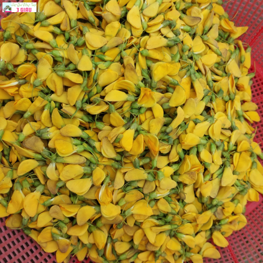 BÔNG ĐIÊN ĐIỂN /KG