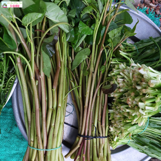 RAU MUỐNG ĐỒNG /KG