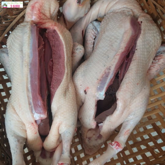 VỊT CÒ /KG (cân sống)