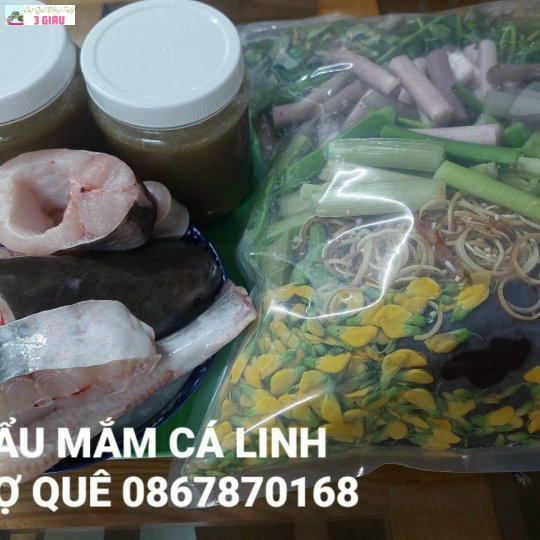 COMBO LẨU MẮM CÁ LINH 